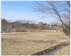  2025Ÿ204  ʽ 絿 354       ()