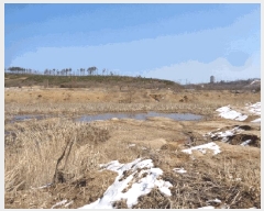  2025Ÿ204  ʽ 絿 354       ()