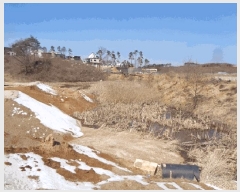  2025Ÿ204  ʽ 絿 354       ()