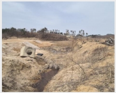  2025Ÿ204  ʽ 絿 354       ()