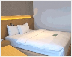  2025Ÿ��222  �ܵ�(ȣ��)���