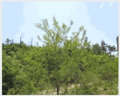  2025Ÿ��228 ���� ������ �伺�� ���︮ ��149      ����(�Ӿ�)���