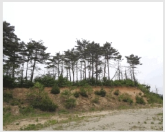  2025Ÿ��228 ���� ������ �伺�� ���︮ ��149      ����(�Ӿ�)���