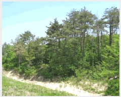  2025Ÿ��228 ���� ������ �伺�� ���︮ ��149      ����(�Ӿ�)���