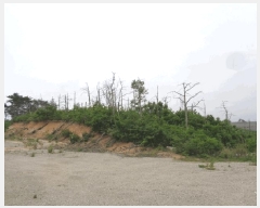  2025Ÿ��228 ���� ������ �伺�� ���︮ ��149      ����(�Ӿ�)���