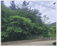  2025Ÿ��230  �Ӿ߰��