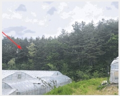  2025Ÿ��230  �Ӿ߰��