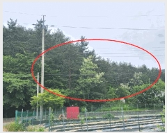  2025Ÿ��230  �Ӿ߰��