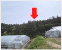  2025Ÿ��230  �Ӿ߰��