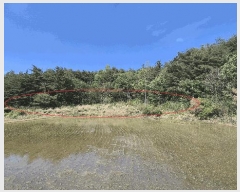  2025Ÿ��234 ���� ������ �伺�� ���ϸ� ��33-1      ����(�Ӿ�)���