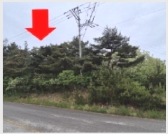  2025Ÿ��234 ���� ������ �伺�� ���ϸ� ��33-1      ����(�Ӿ�)���