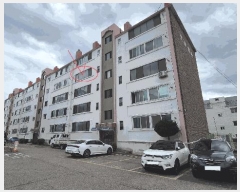  2025Ÿ��242  ����Ʈ���