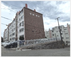  2025Ÿ��242  ����Ʈ���