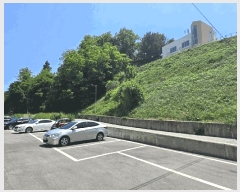  2025Ÿ��244 ���� ������ ������ ������ ��75      ����(�Ӿ�)���