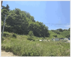  2025Ÿ��244 ���� ������ ������ ������ ��75      ����(�Ӿ�)���