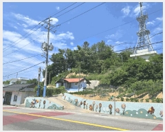  2025Ÿ��244 ���� ������ ������ ������ ��75      ����(�Ӿ�)���