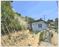  2025Ÿ��244 ���� ������ ������ ������ ��75      ����(�Ӿ�)���