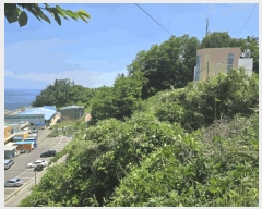  2025Ÿ��244 ���� ������ ������ ������ ��75      ����(�Ӿ�)���