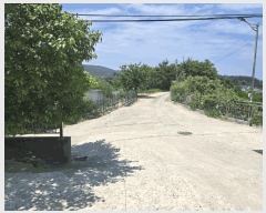  2025Ÿ��244 ���� ������ ������ ������ ��75      ����(�Ӿ�)���