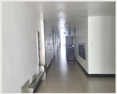  2025Ÿ��252  ����Ʈ���