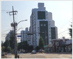  2025Ÿ��252  ����Ʈ���