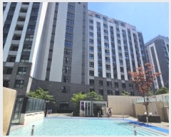  2025Ÿ256  ʽ  1024-1 ü潺  9901ȣ    ܵ(ȣ)