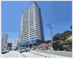  2025Ÿ��260  �ܵ�(ȣ��)���