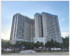  2025Ÿ��260  �ܵ�(ȣ��)���