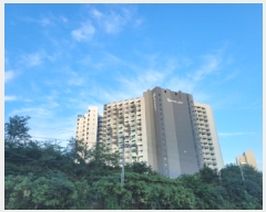  2025Ÿ��260  �ܵ�(ȣ��)���