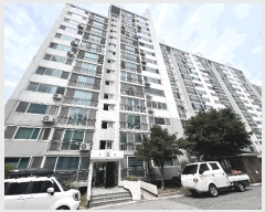  2025Ÿ��264  ����Ʈ���