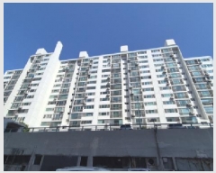  2025Ÿ��264  ����Ʈ���