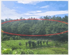  2025Ÿ��270  �Ӿ߰��