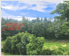  2025Ÿ��270  �Ӿ߰��