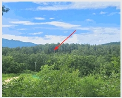  2025Ÿ��270  �Ӿ߰��