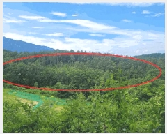  2025Ÿ��270  �Ӿ߰��