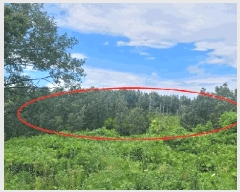  2025Ÿ��270  �Ӿ߰��