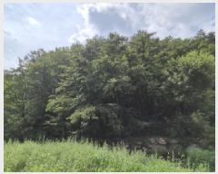  2025Ÿ��270  �Ӿ߰��