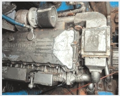 2025Ÿ��274 ���� ������         ���ڰ��