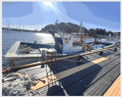  2025Ÿ��280 (�ƾ�����)          ���ڰ��