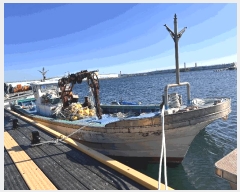  2025Ÿ��280 (�ƾ�����)          ���ڰ��