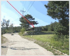  2025Ÿ��288  ���ð��