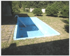  2025Ÿ��288  ���ð��