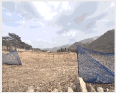  2025Ÿ10206  籺  õ 76      (1)