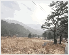  2025Ÿ10206  籺  õ 142-1      (󰡽ü)