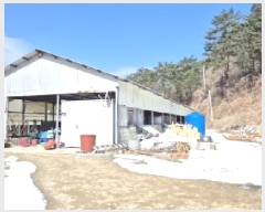  2025Ÿ10206  籺  õ 142-1      (󰡽ü)