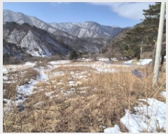  2025Ÿ10206  籺  õ 142-1      (󰡽ü)