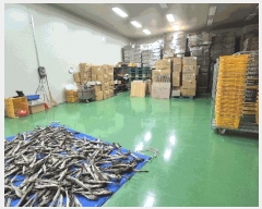  2025Ÿ10210   ׿ո ȣ 278-41      