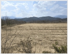  2025Ÿ10224  籺   407-28      (Ӿ)