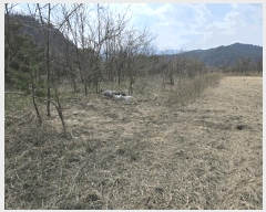  2025Ÿ10224  籺   407-28      (Ӿ)