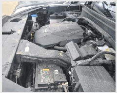  2025Ÿ10238  ʽ  23 302 1304ȣ     